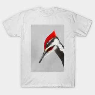 Pileated Woodpecker Portrait T-Shirt